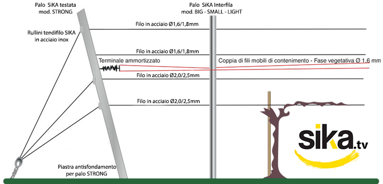 impianto vigneto guyot pali per vigneto