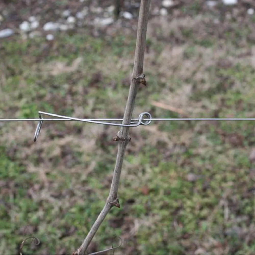 legacci per vigneto in acciaio Sika