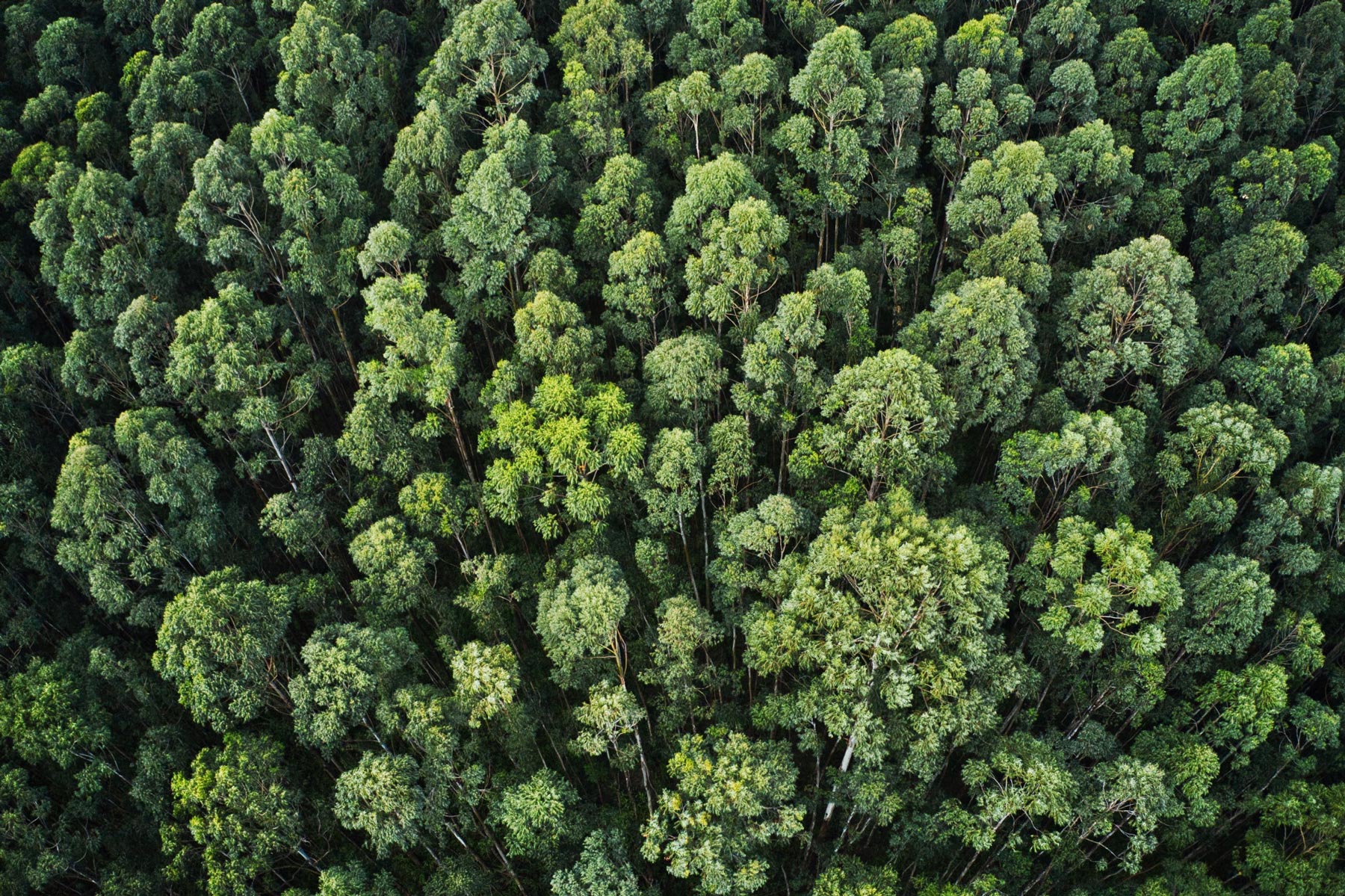 politica per ambiente e sostenibilità Sika