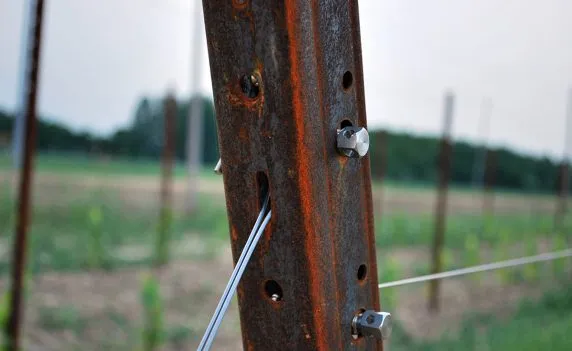 accessori per vigneto professionali. Tendifili per vigneto