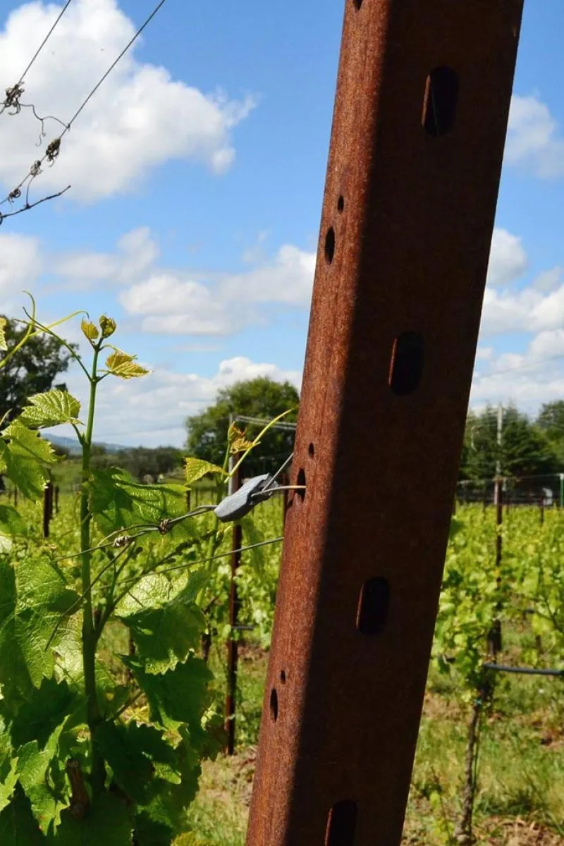 Pali testata in acciaio per vigneto