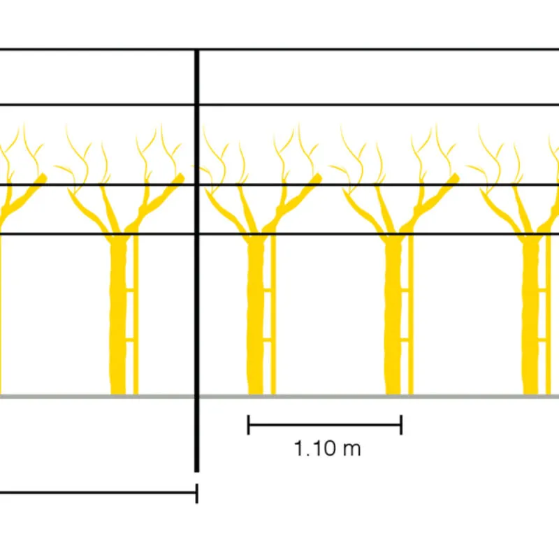 distanza pali vigneto: installazione pali per vigneto, come mettere pali per vigneto e altezza dei fili