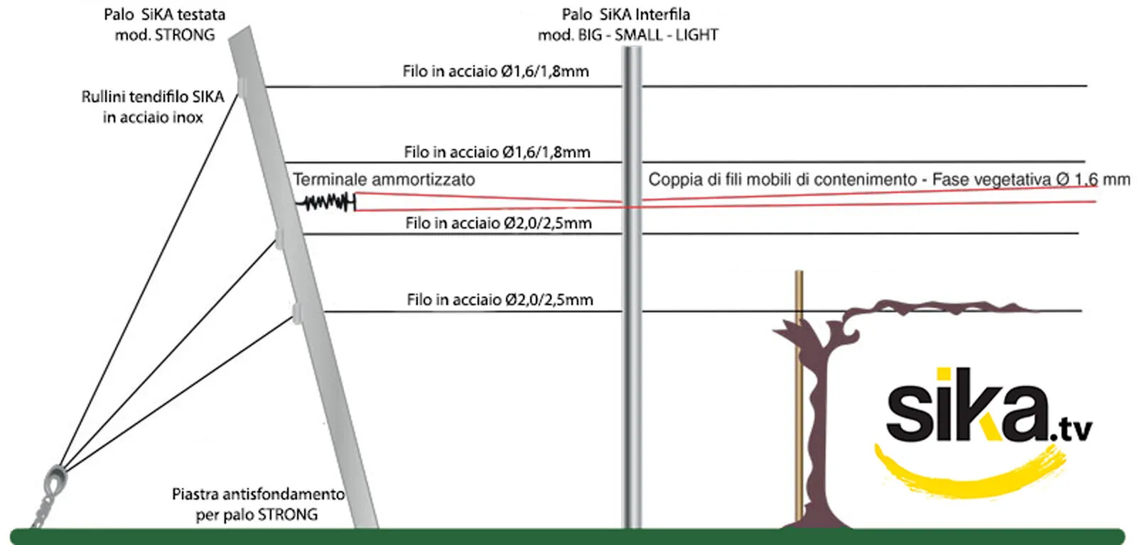 impianto vigneto guyot pali per vigneto