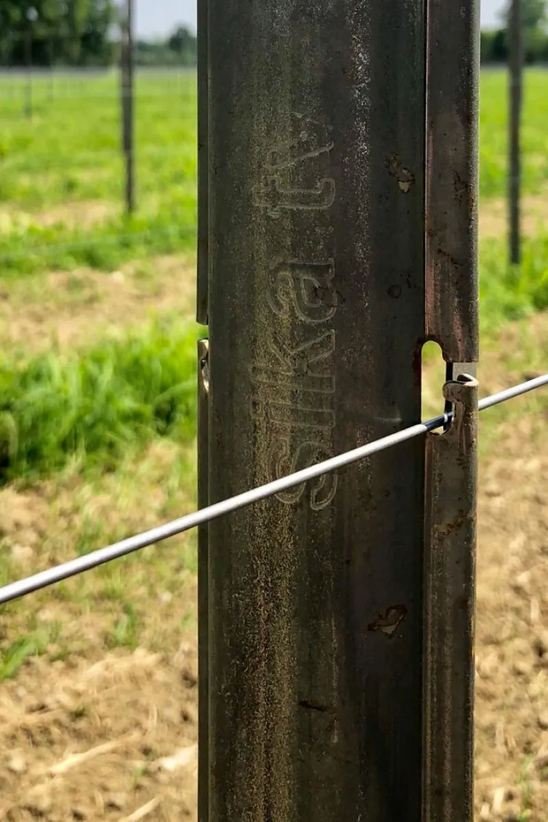 pali per vigneto zincati