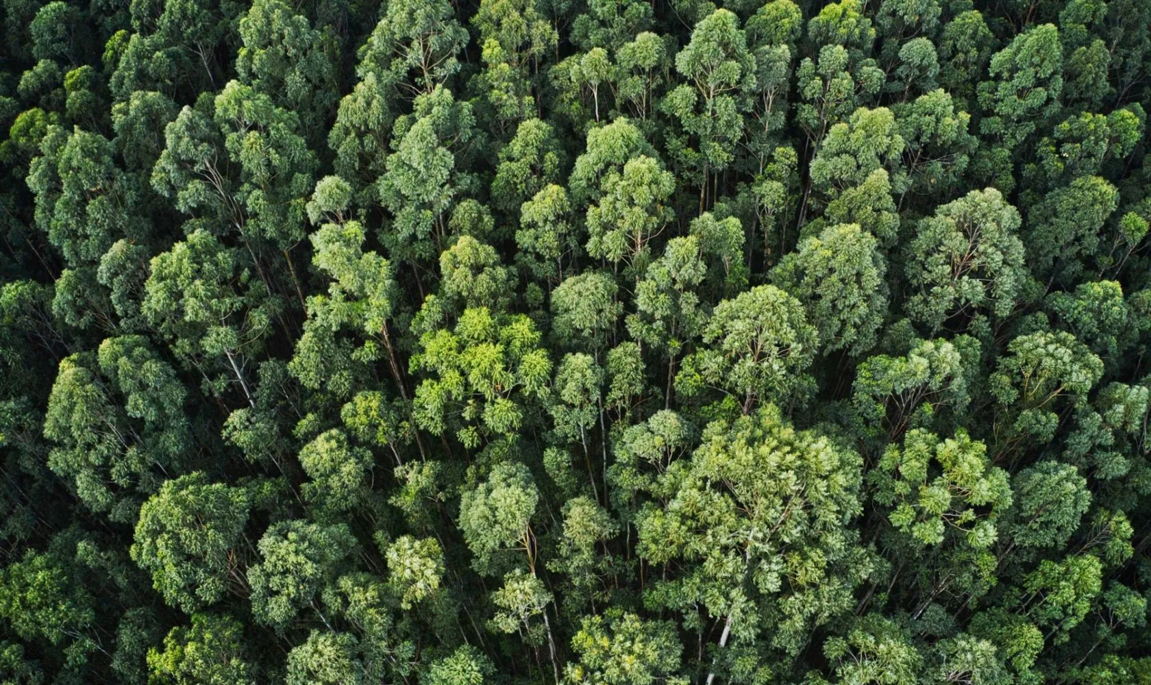 politica per ambiente e sostenibilità Sika