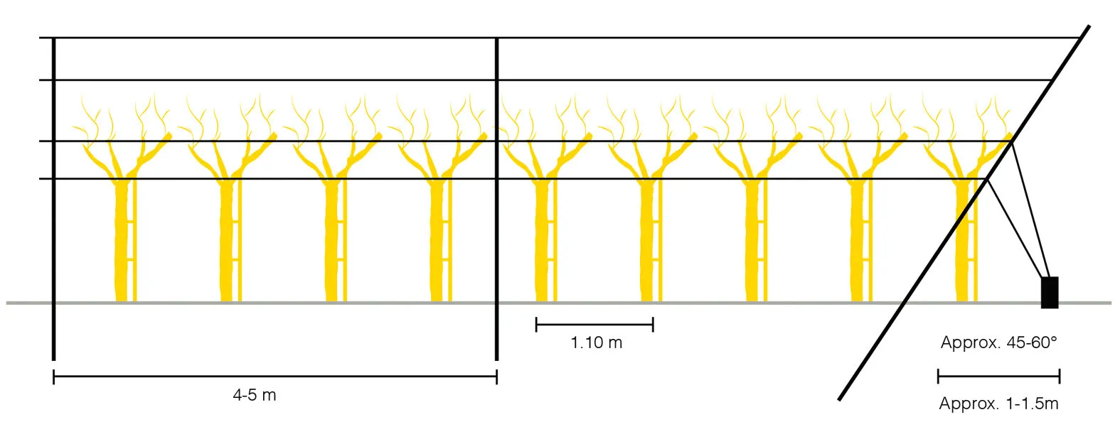 altezza e distanza pali per vigneto in vigna. Lo schema installazione dei pali