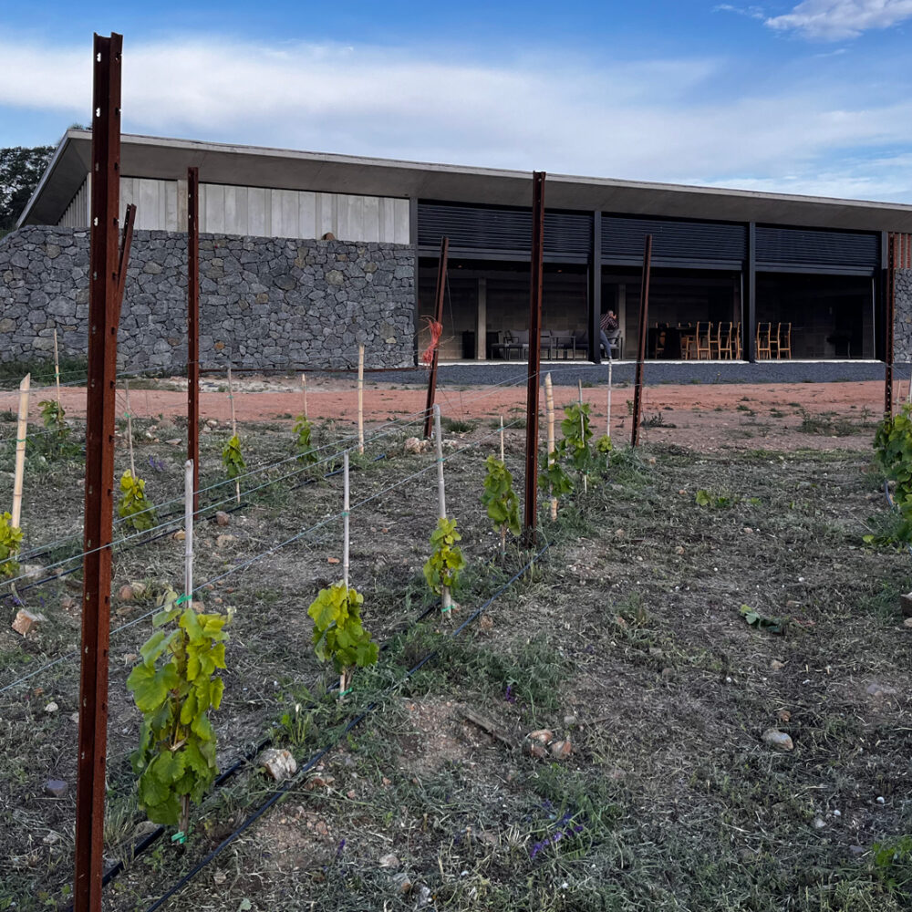 pali da vigneto sika installati in uruguay
