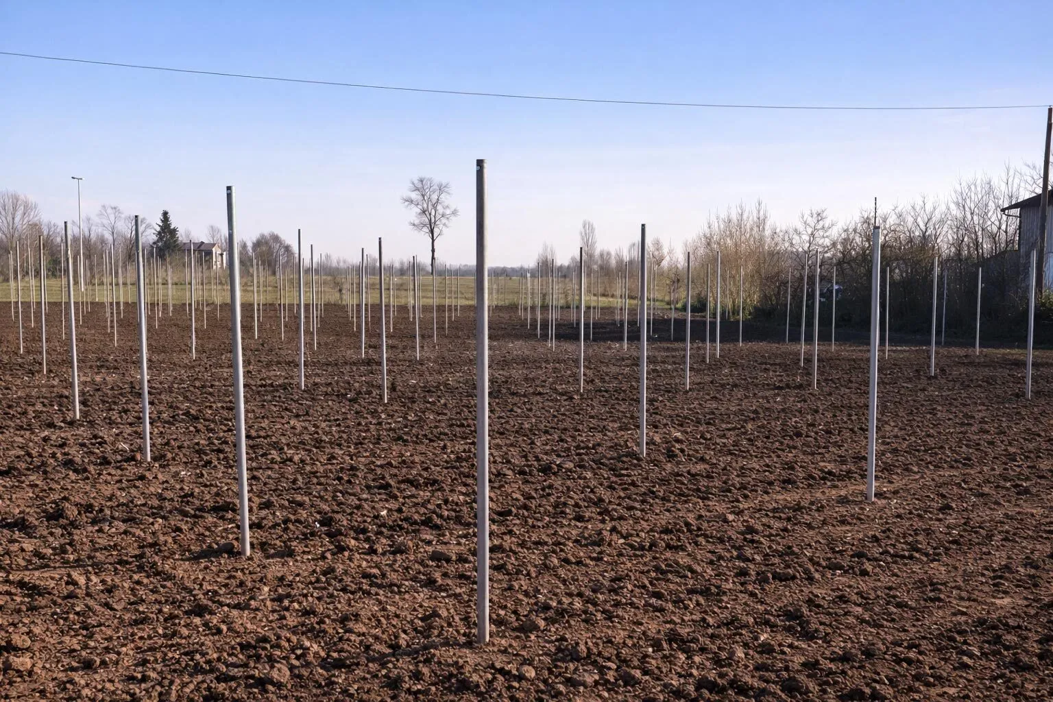 pali per vigna installati e posati sul campo agricolo